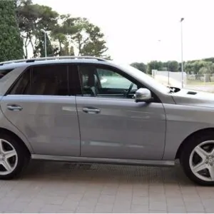 ML W166 на части