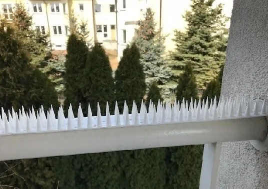 Шипове МИНИ прозрачни отблъскващи котки и птици - 500 см. (1500 см)- 10 бр.