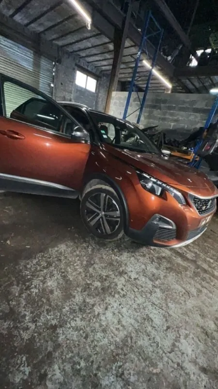 Peugeot 3008 на части