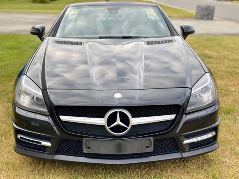 Slk W172 на части
